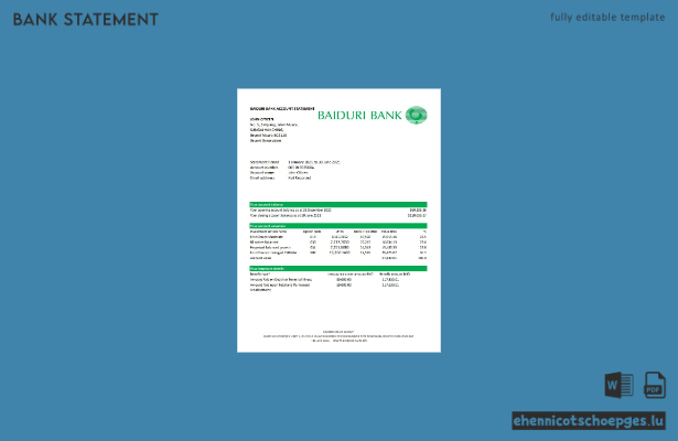 Excel-Beispielvorschau für den Kontoauszug von Brunei Baiduri